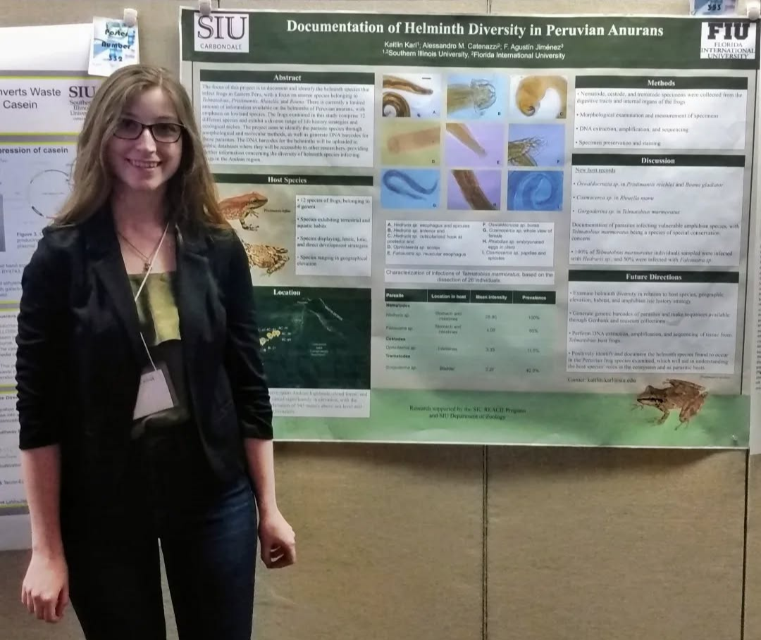 Parasites of Peruvian Anurans Poster